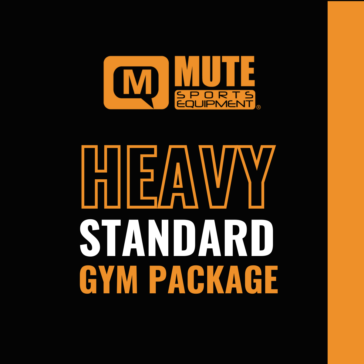 Mute Sports Equipment Heavy Standard Jump Rope Gym Package – MUTE